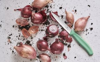Victorinox-Fresh-Energy.jpg