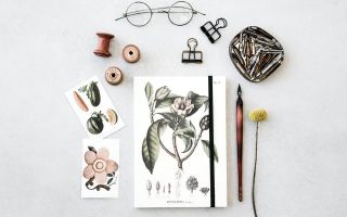 Skoena-Ting-botanic-Notizbuch.jpg