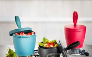 FOODIE-Snackboxen-von-GEFU.jpg