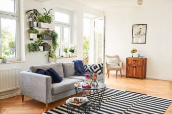 GDA-Lechuza-Green-Wall-Home.jpg