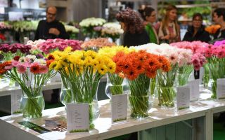 Floradecora-img.jpg