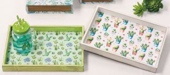 Tabletts-Cactus.jpg