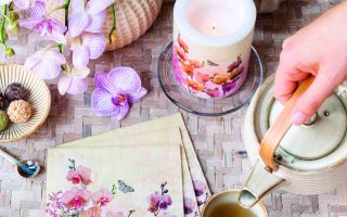 Ambiente-Europe-Orchid-Orient.jpg