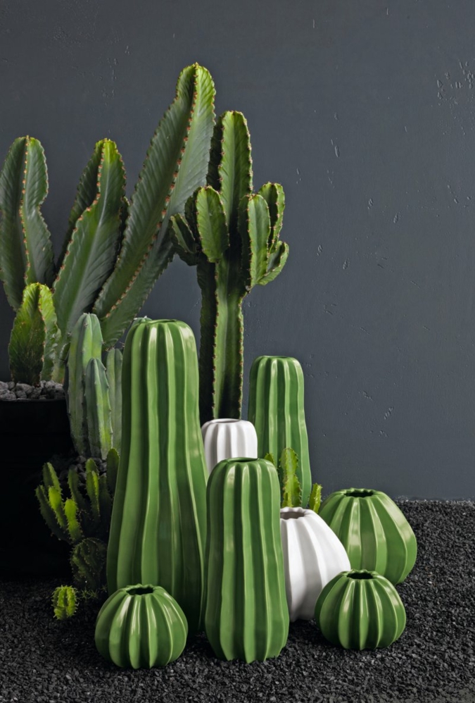 ASA-Vasen-Cactus.jpg