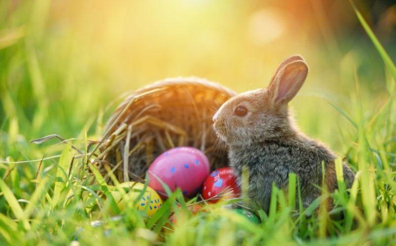 stil & markt wünscht frohe Ostern!