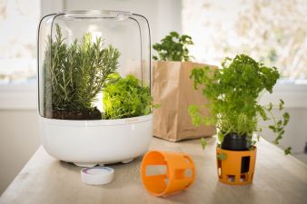 fiskarskitchengardenmilieu11klein.jpg