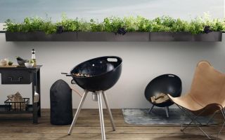Eva-Solo-FireGlobe-Gasgrill.jpg