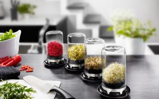 Gefu-Sprouting-Jar-Bivita.jpg