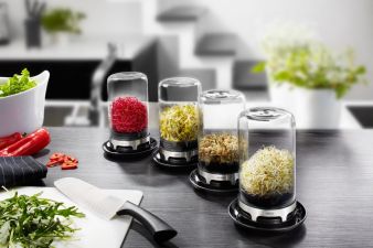 Gefu-Sprouting-Jar-Bivita.jpg