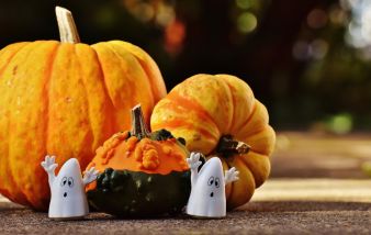 halloween_geister_kuerbis.jpg