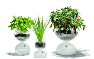 Holmegaard_Gaia_Vaekstglas_Family_01